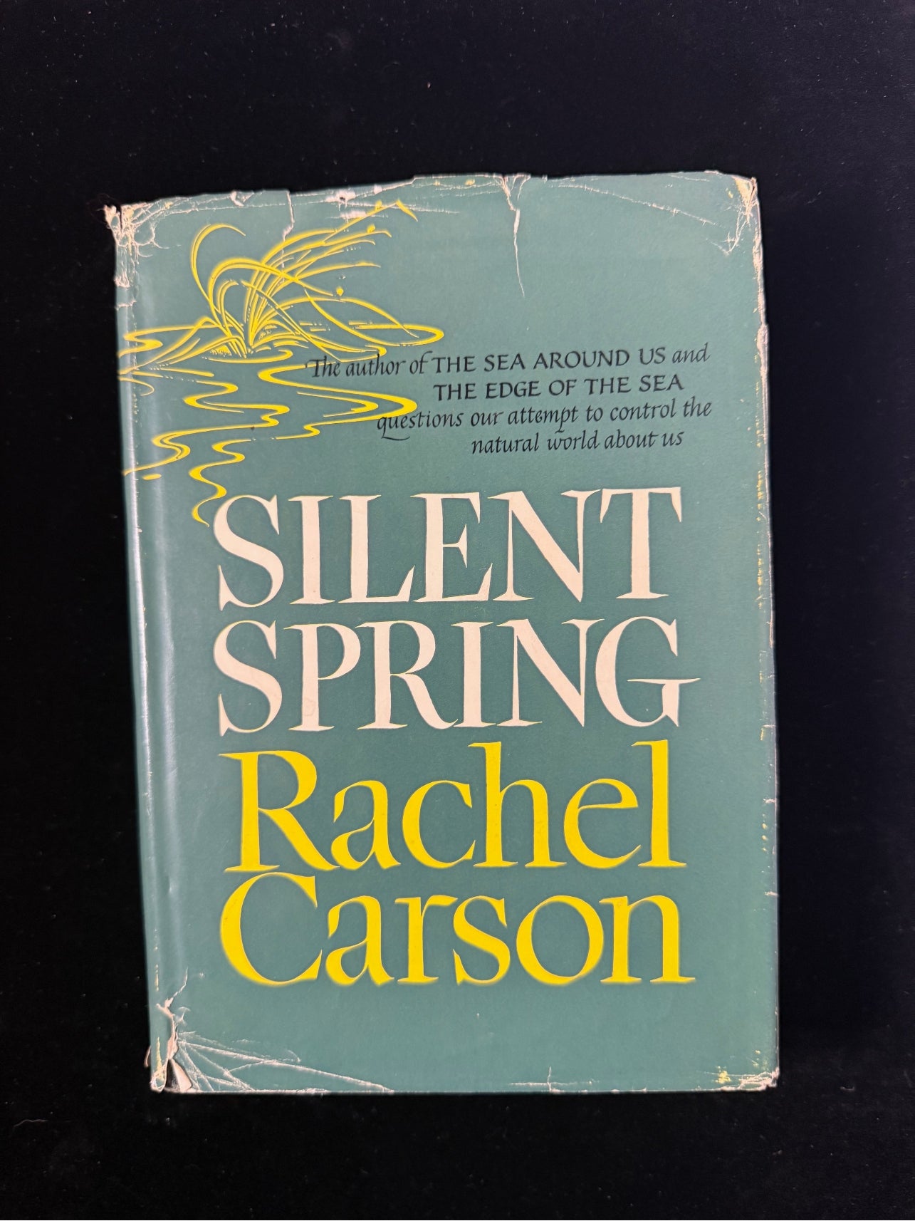Silent Spring