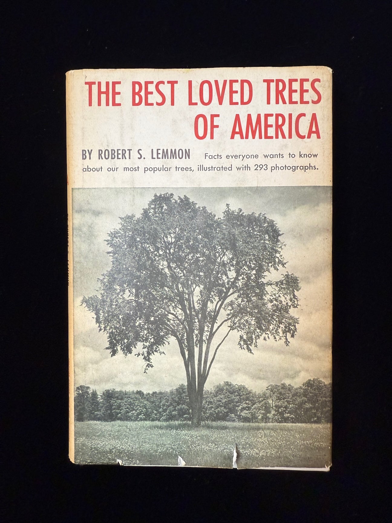 The Best Loved Trees of America