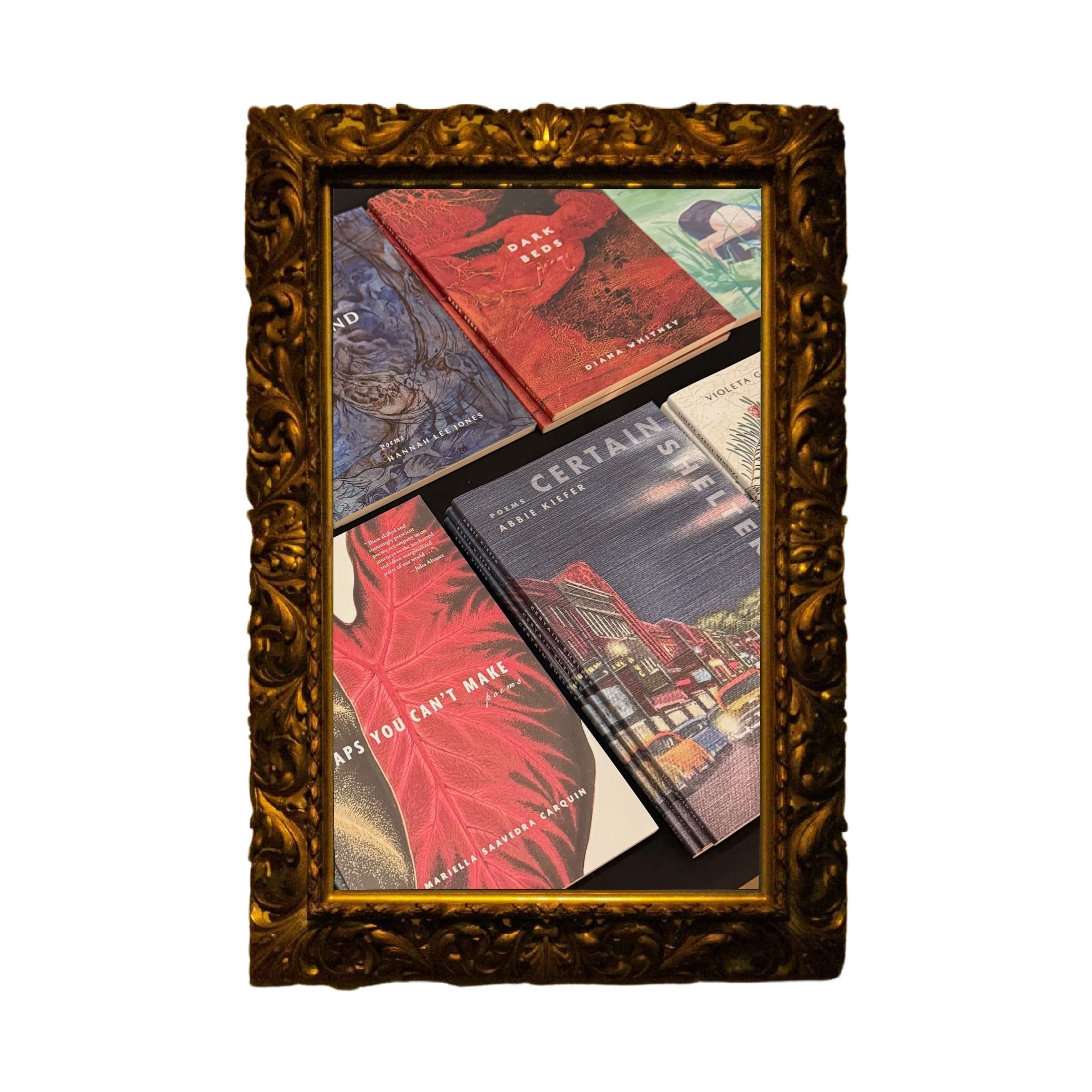 Small Presses, Big Ideas: Why Independent Publishers Matter