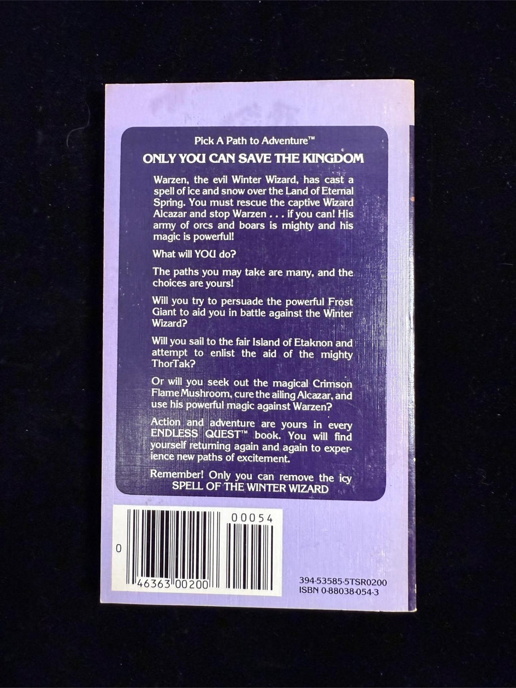 Spell of the Winter Wizard: Dungeons & Dragons Endless Quest Book 11