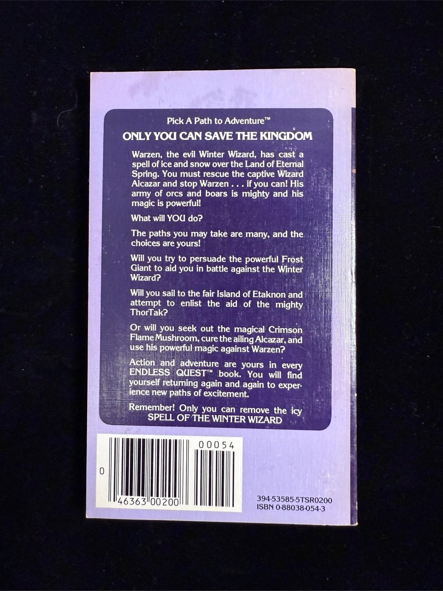 Spell of the Winter Wizard: Dungeons & Dragons Endless Quest Book 11