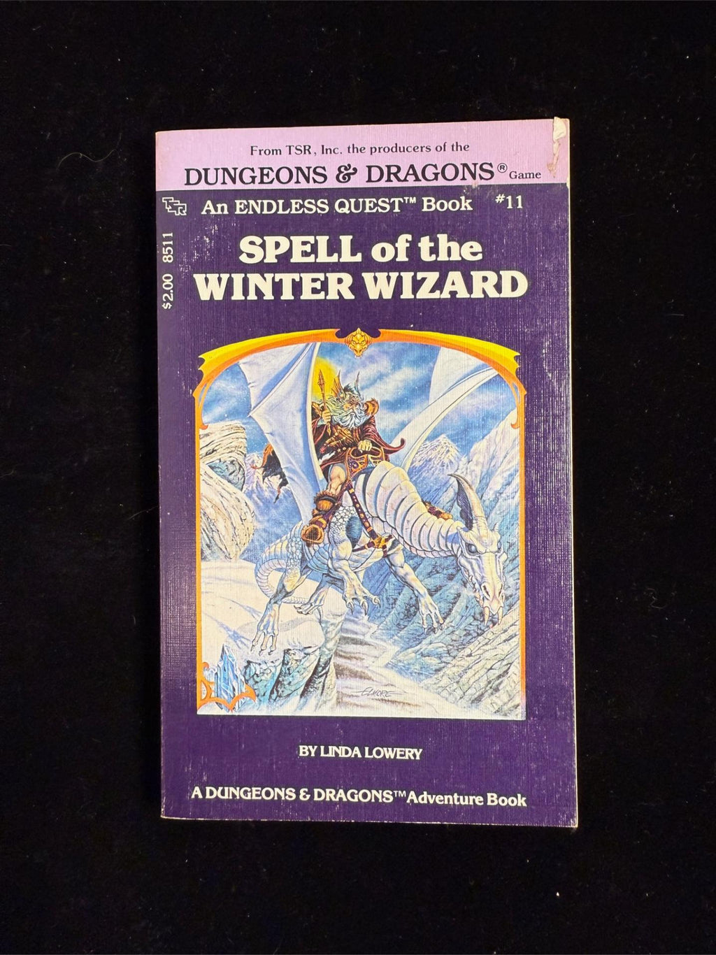 Spell of the Winter Wizard: Dungeons & Dragons Endless Quest Book 11