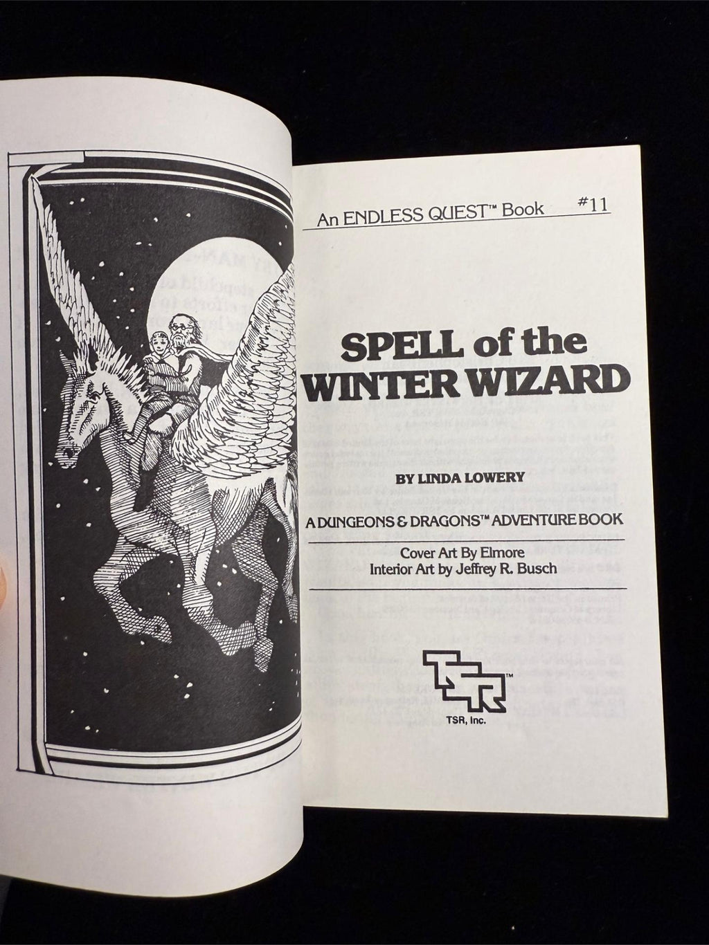 Spell of the Winter Wizard: Dungeons & Dragons Endless Quest Book 11