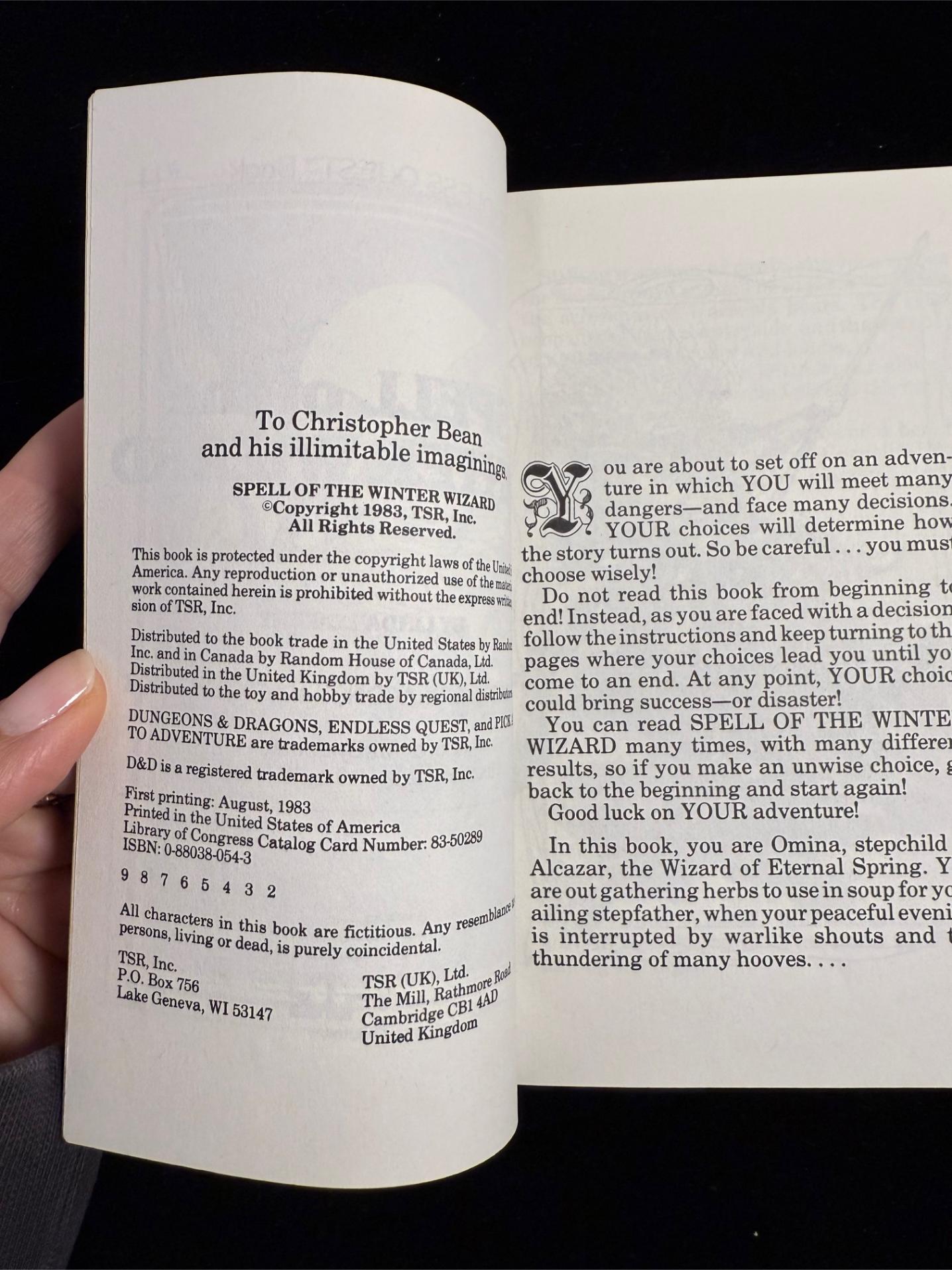 Spell of the Winter Wizard: Dungeons & Dragons Endless Quest Book 11