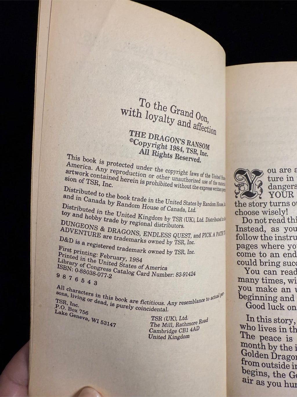 Dungeons & Dragons Endless Quest Books 14-16