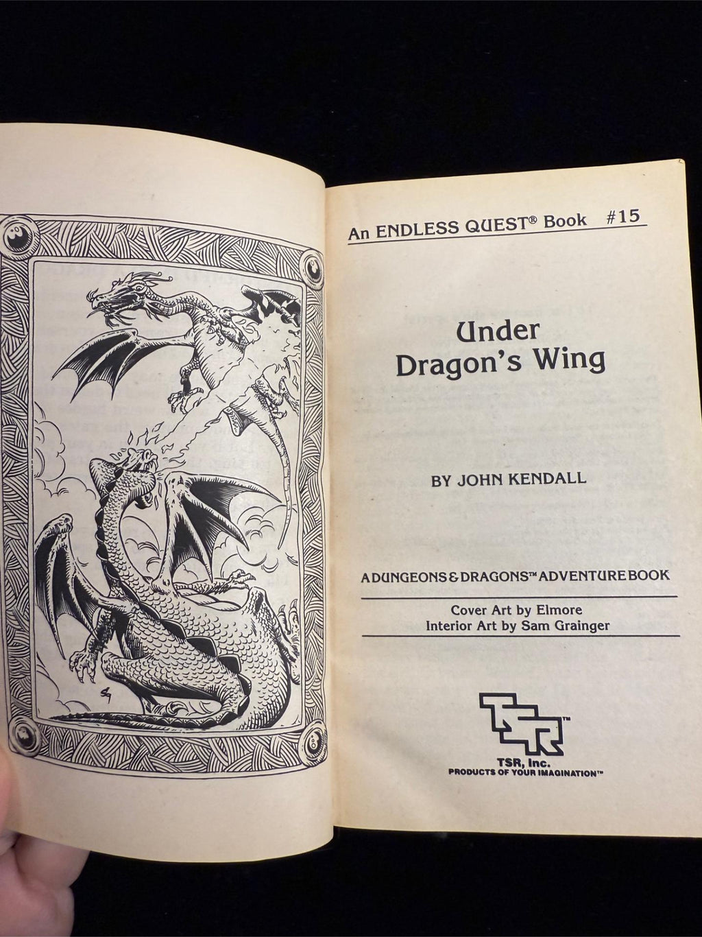 Dungeons & Dragons Endless Quest Books 14-16