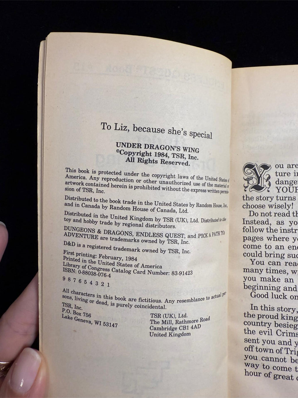 Dungeons & Dragons Endless Quest Books 14-16