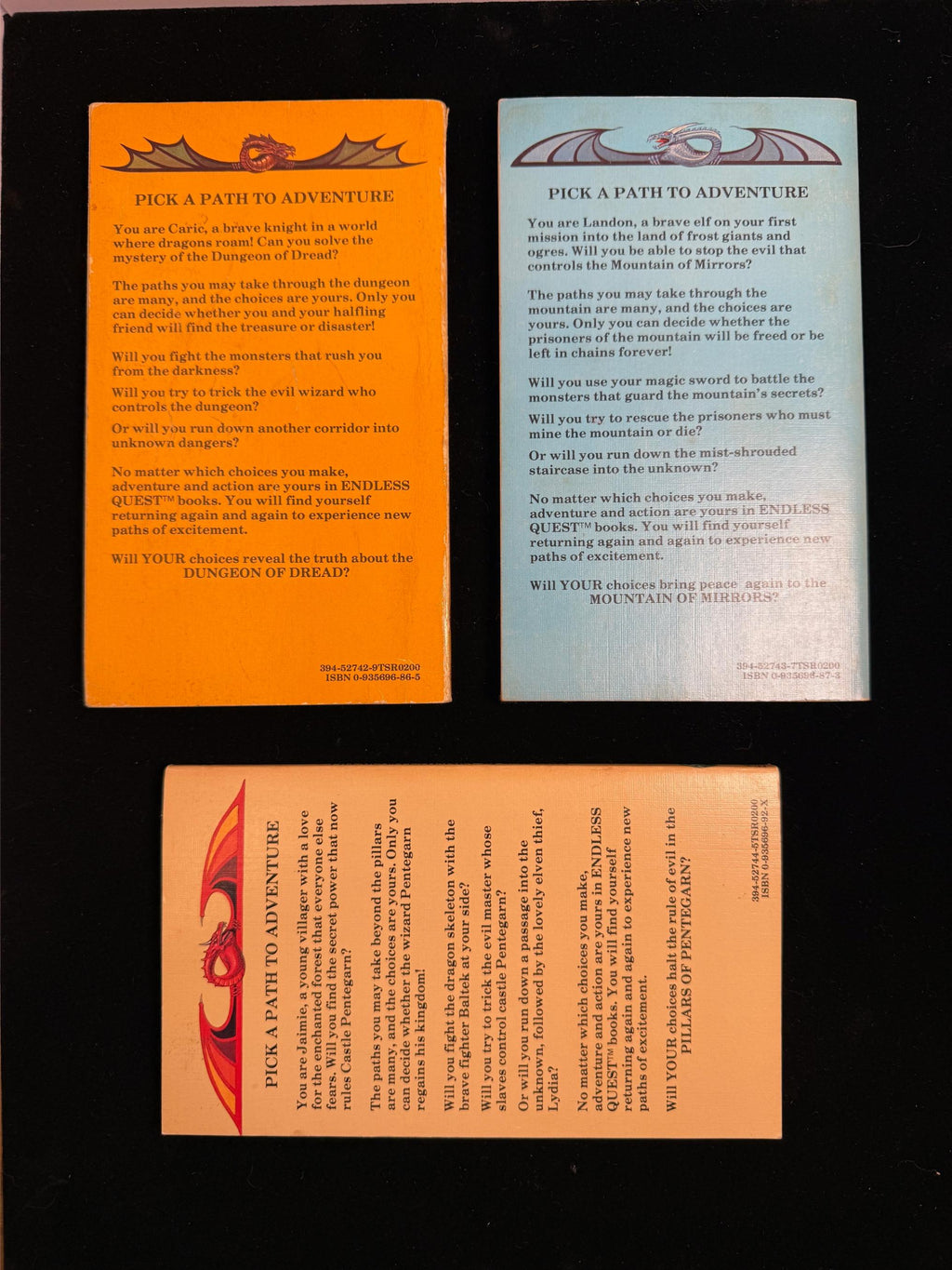 Dungeons & Dragons Endless Quest Books 1-3