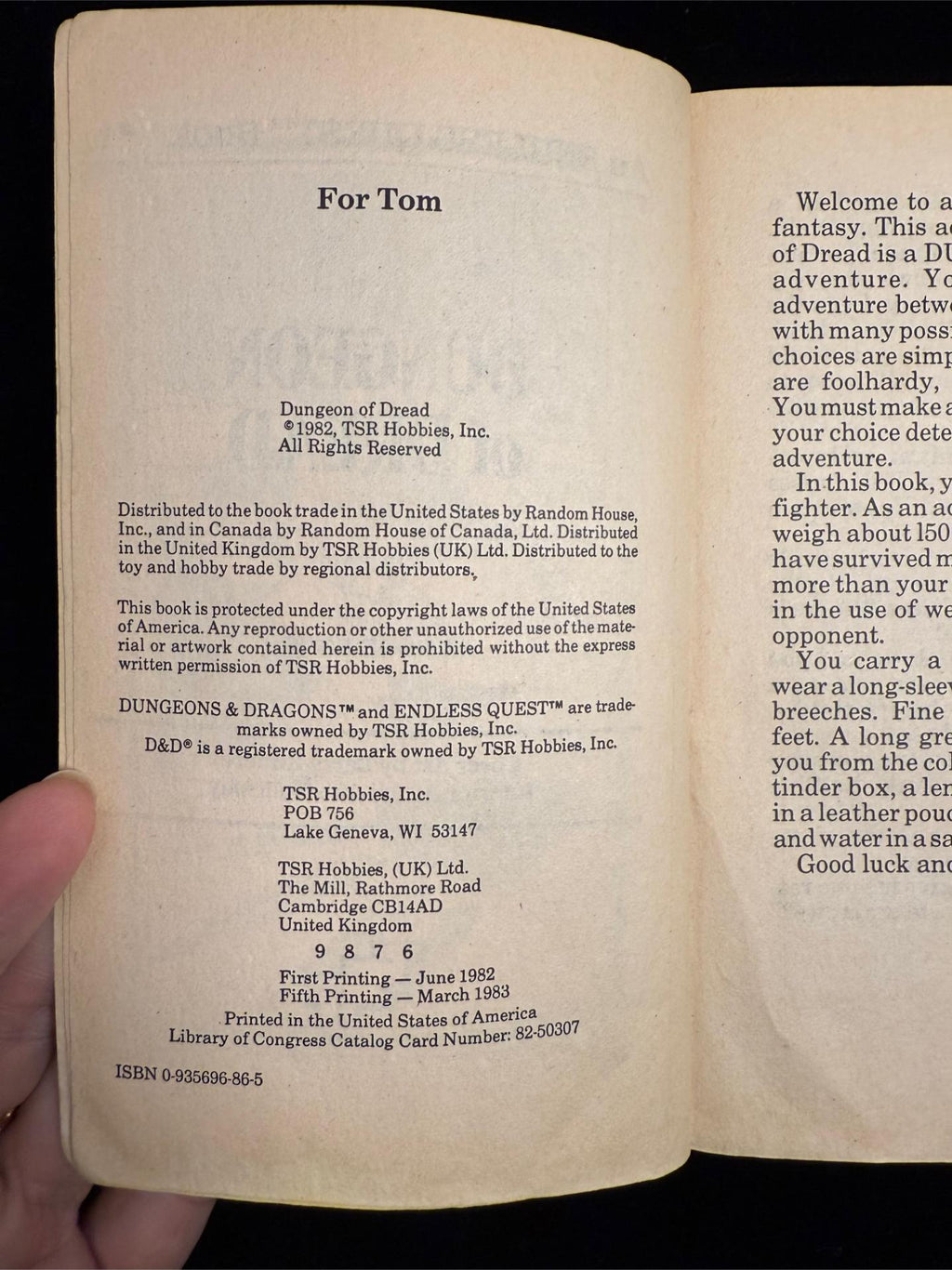 Dungeons & Dragons Endless Quest Books 1-3