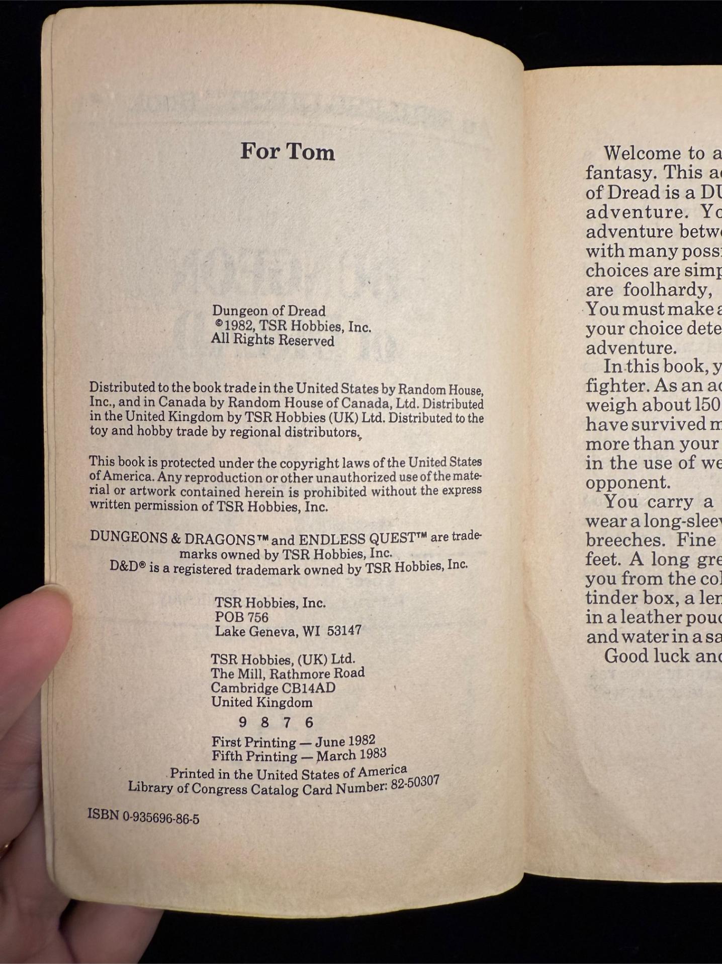 Dungeons & Dragons Endless Quest Books 1-3