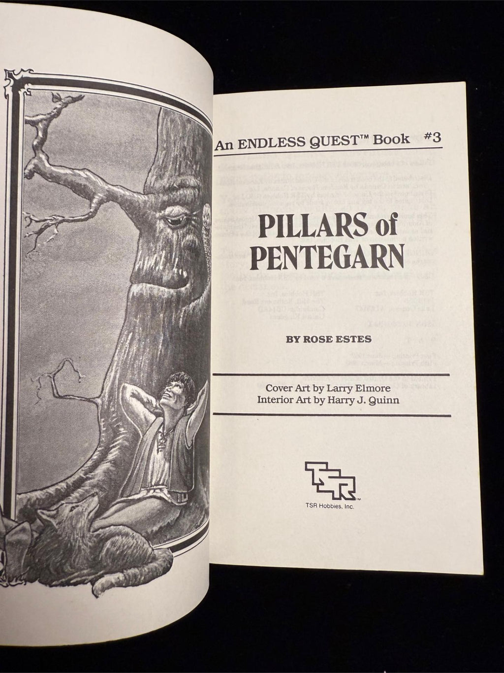 Dungeons & Dragons Endless Quest Books 1-3