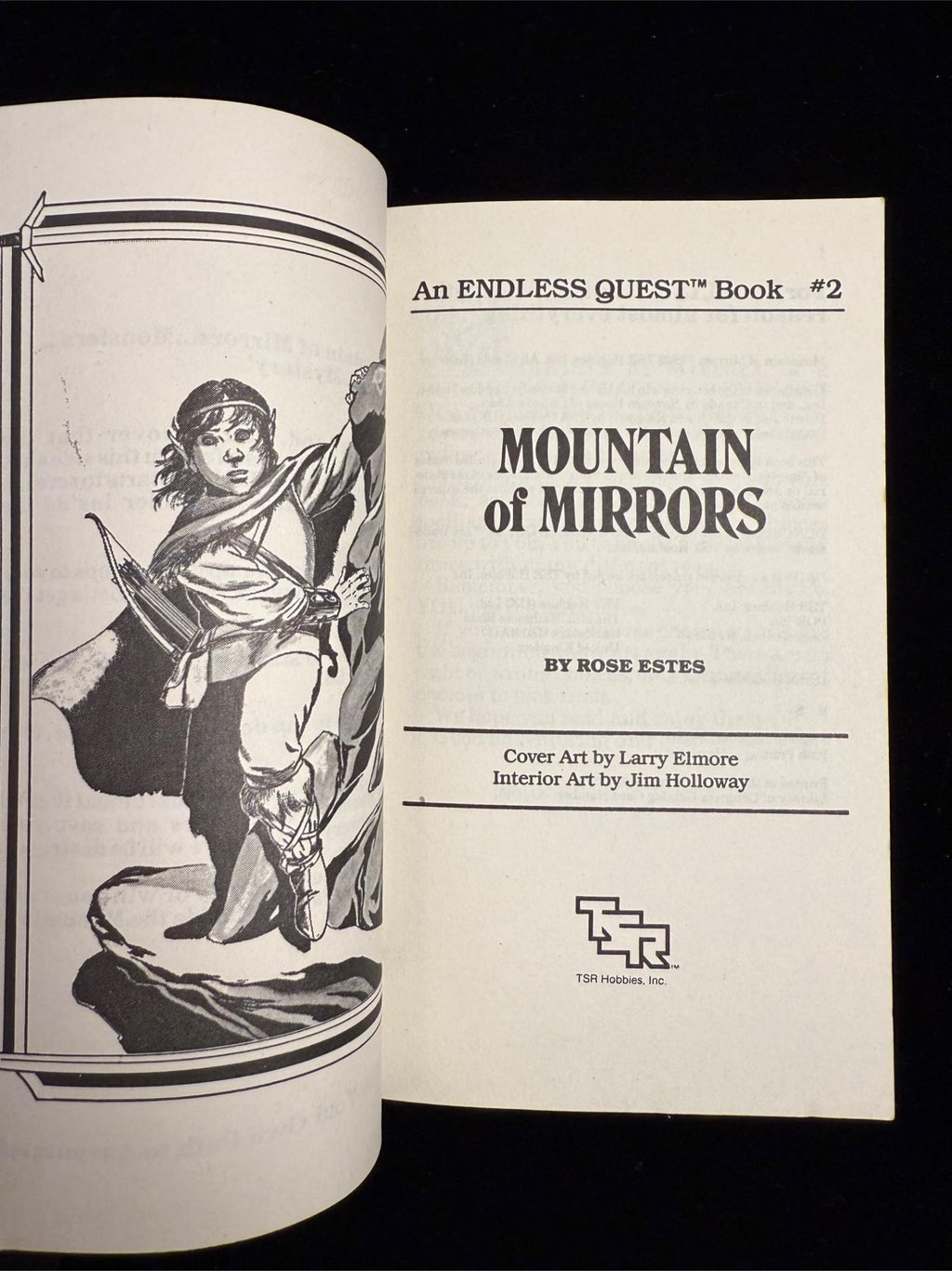 Dungeons & Dragons Endless Quest Books 1-3