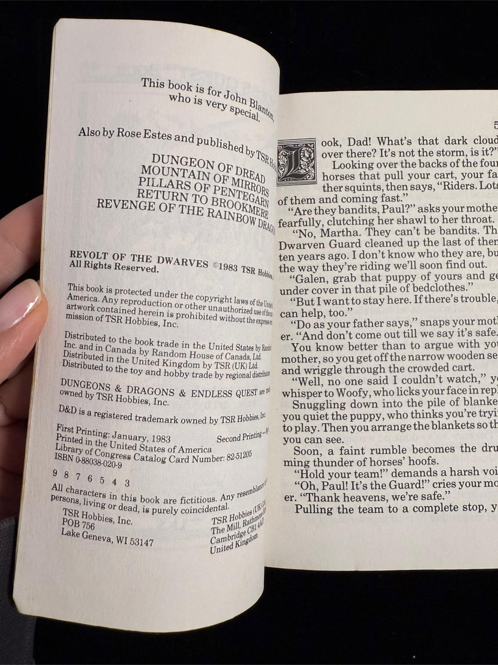 Dungeons & Dragons Endless Quest Books 5-7