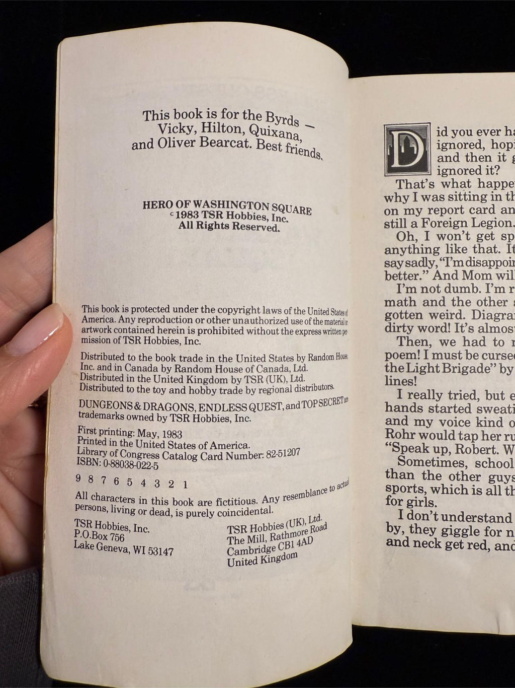 Dungeons & Dragons Endless Quest Books 5-7