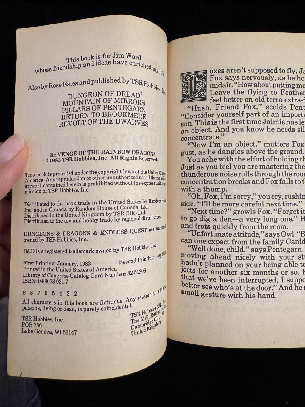 Revenge of the Rainbow Dragons: Dungeons & Dragons Endless Quest Book 6