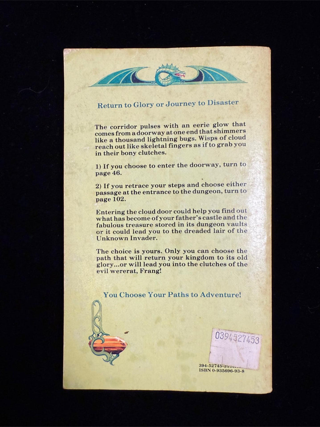 Return to Brookmere: Dungeons & Dragons Endless Quest Book