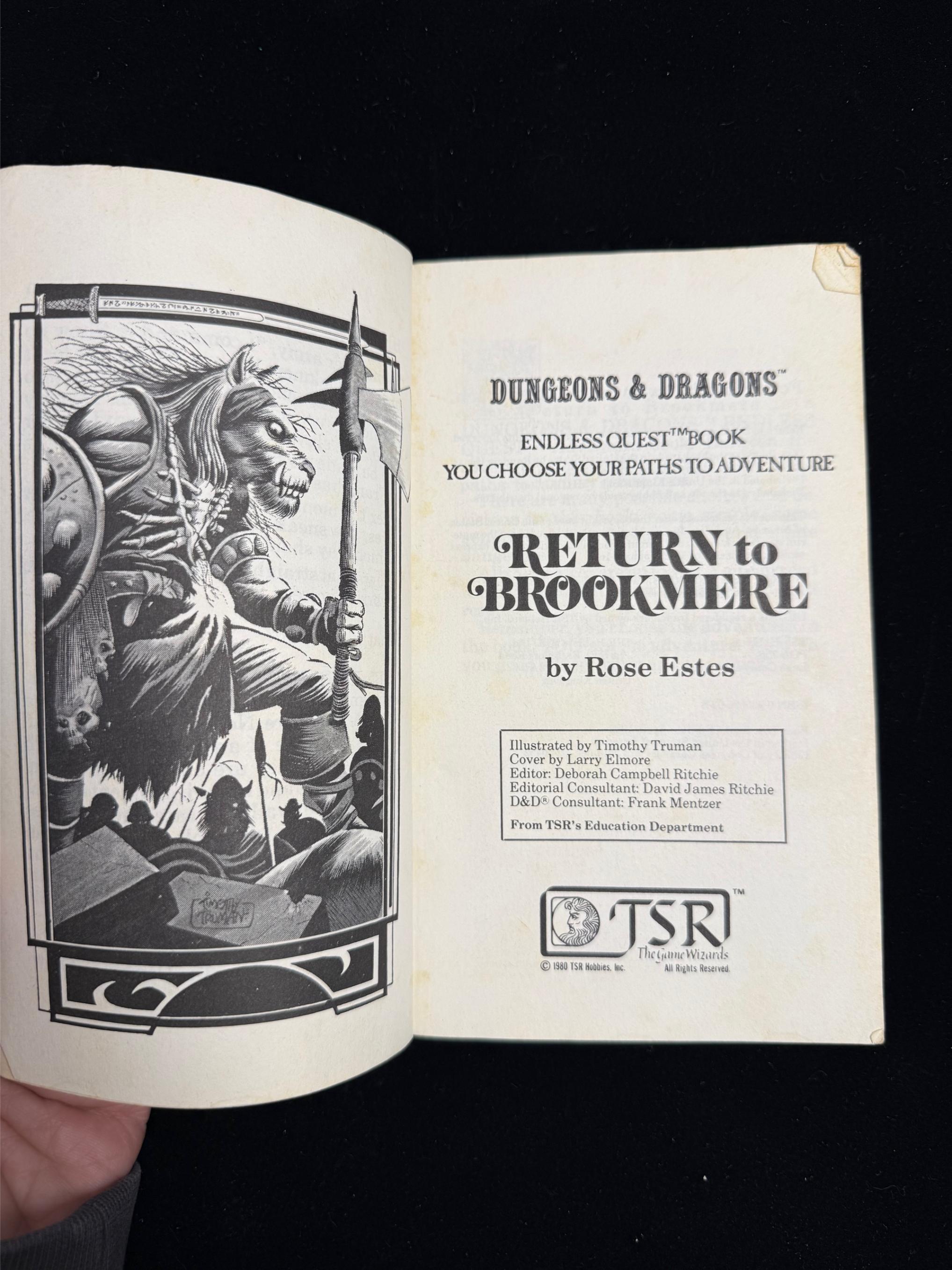 Return to Brookmere: Dungeons & Dragons Endless Quest Book
