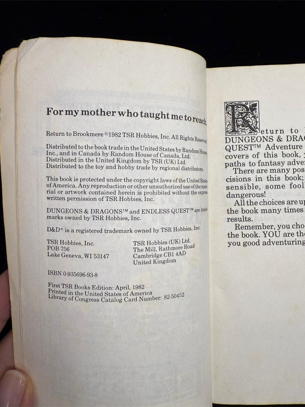Return to Brookmere: Dungeons & Dragons Endless Quest Book