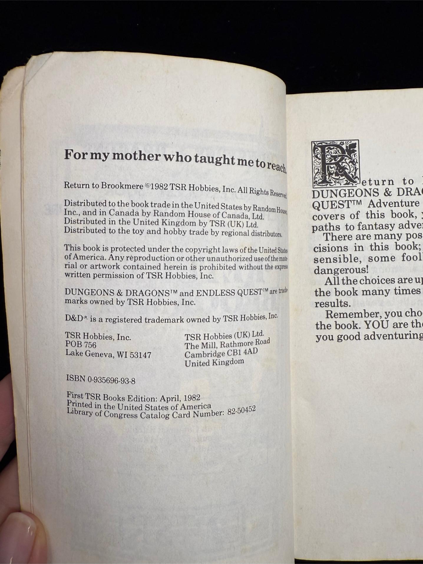 Return to Brookmere: Dungeons & Dragons Endless Quest Book