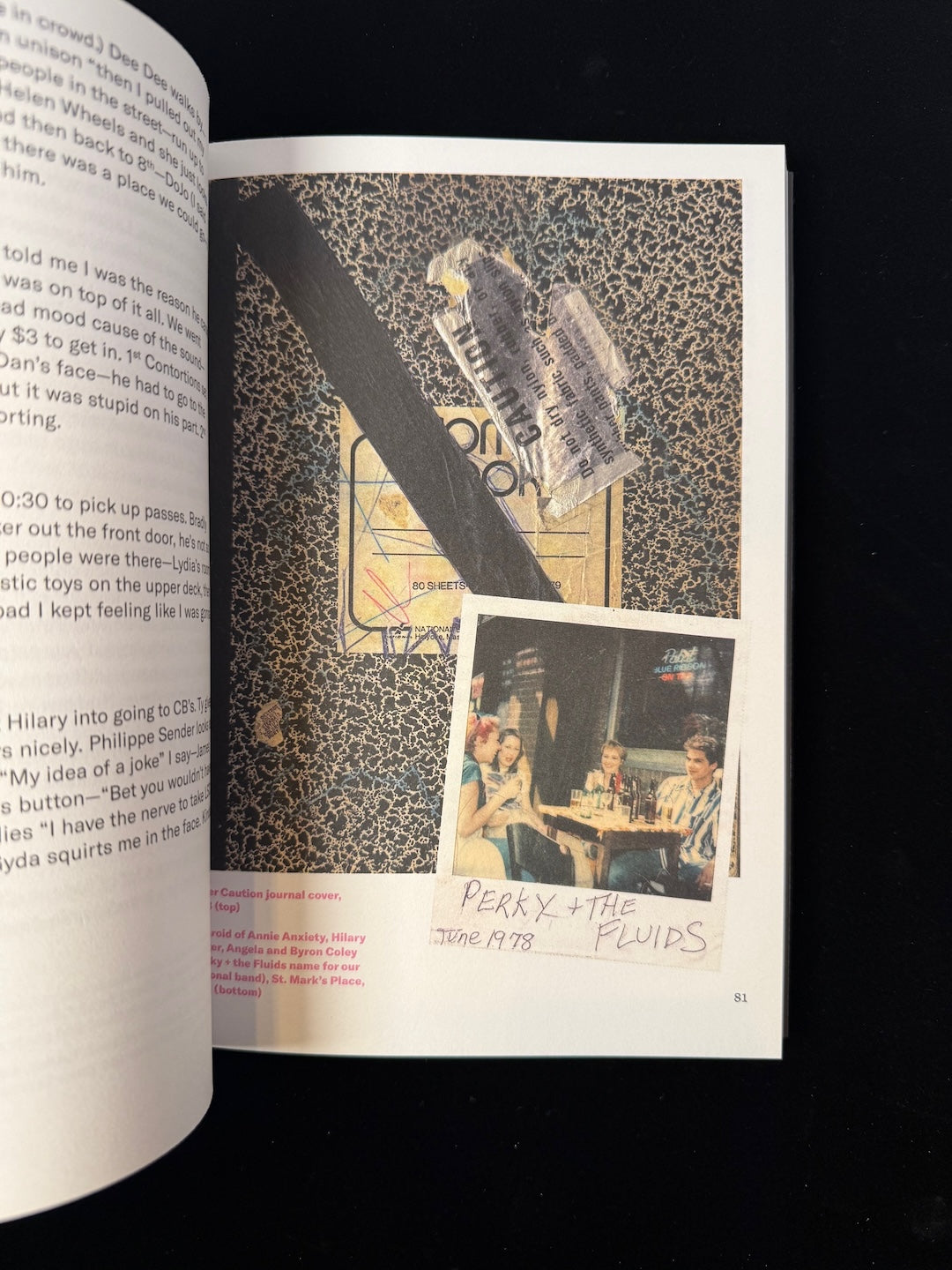 I Feel Famous: Punk Diaries 1977 - 1981