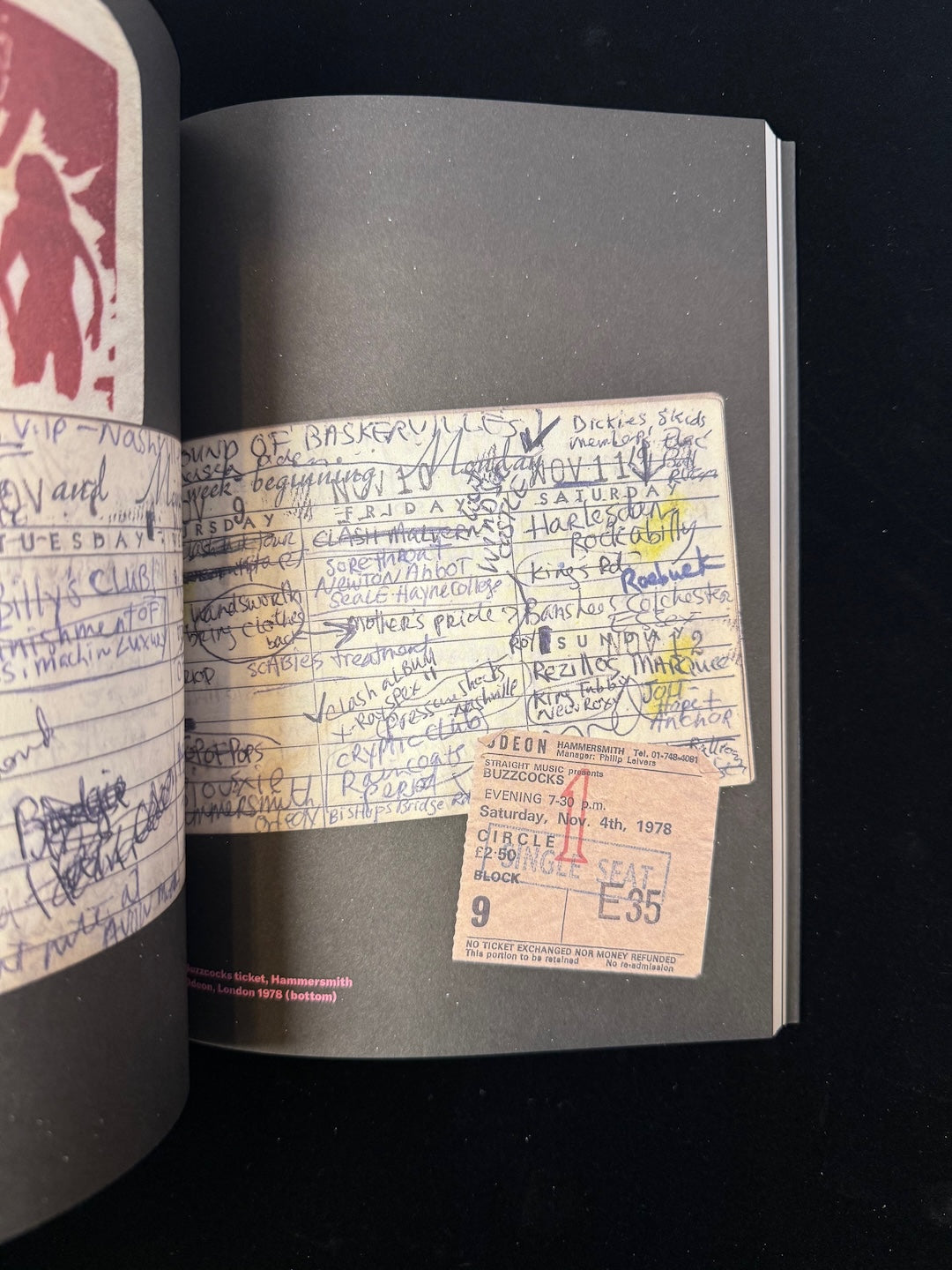 I Feel Famous: Punk Diaries 1977 - 1981 – The Hound Books