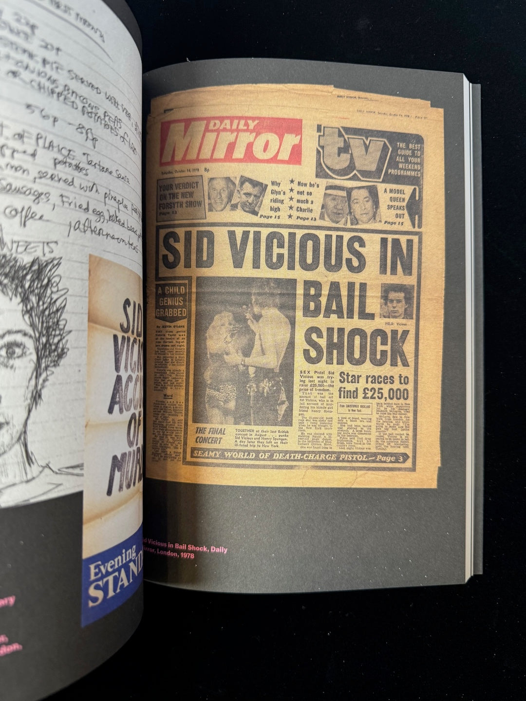 I Feel Famous: Punk Diaries 1977 - 1981