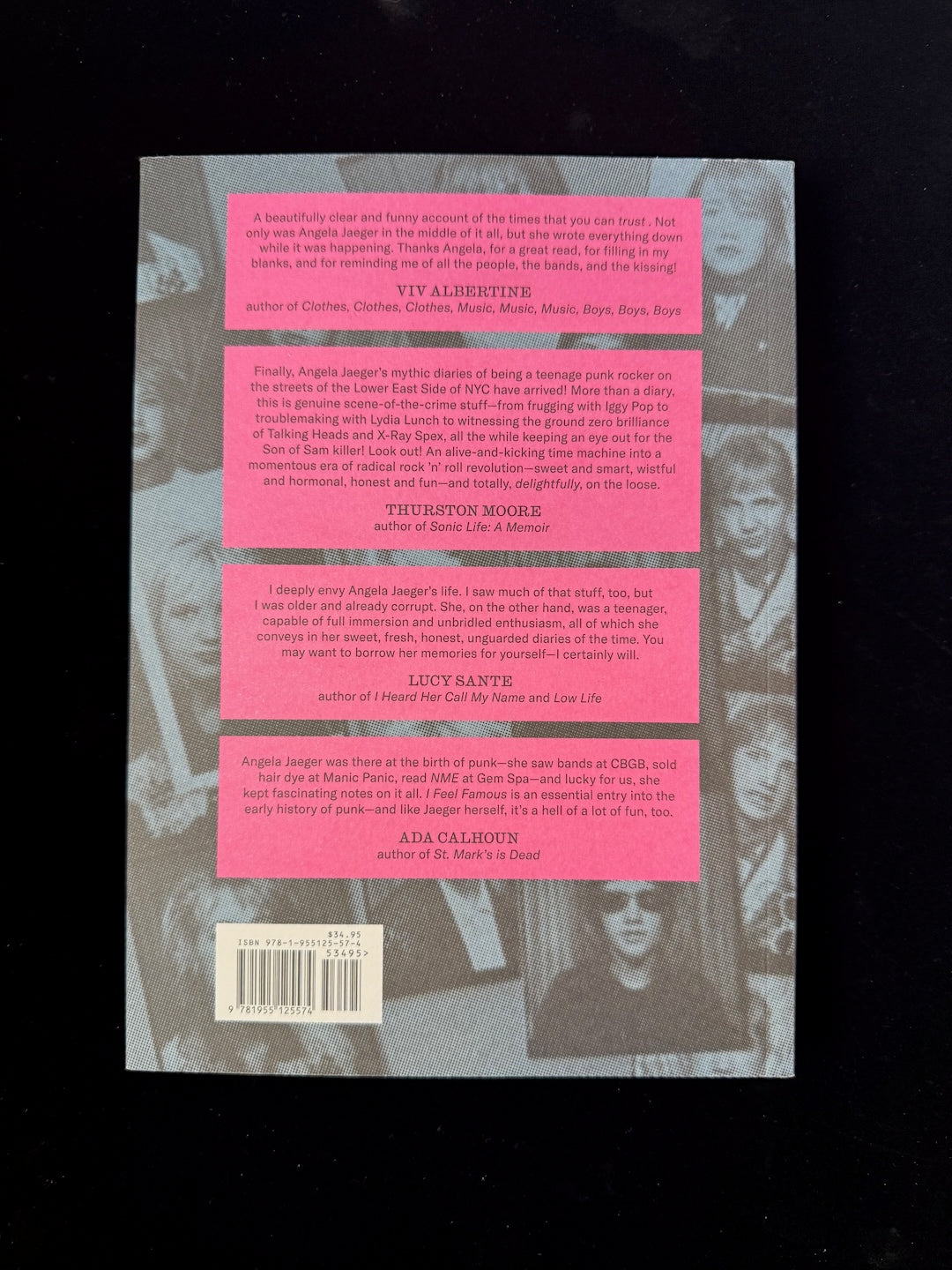 I Feel Famous: Punk Diaries 1977 - 1981 – The Hound Books