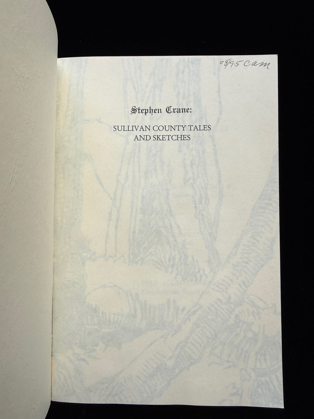 Stephen Crane: Sullivan County Tales and Sketches