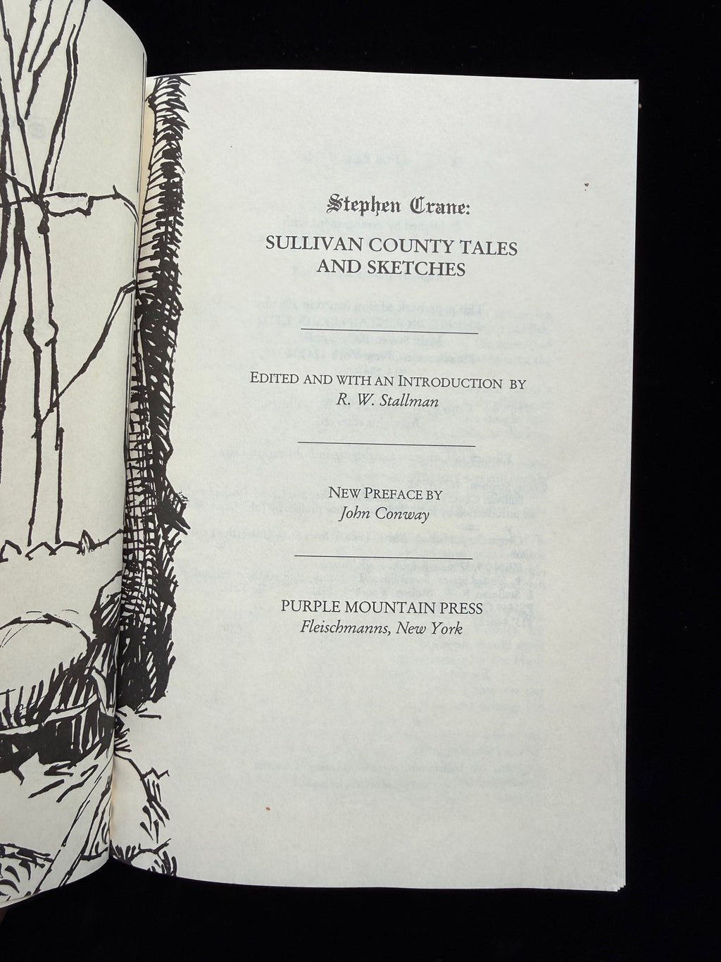 Stephen Crane: Sullivan County Tales and Sketches