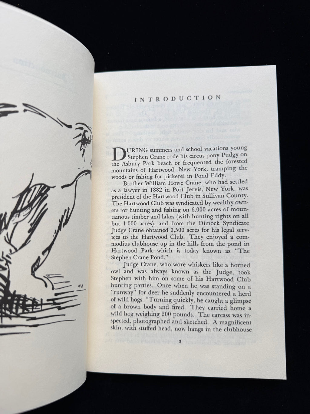 Stephen Crane: Sullivan County Tales and Sketches