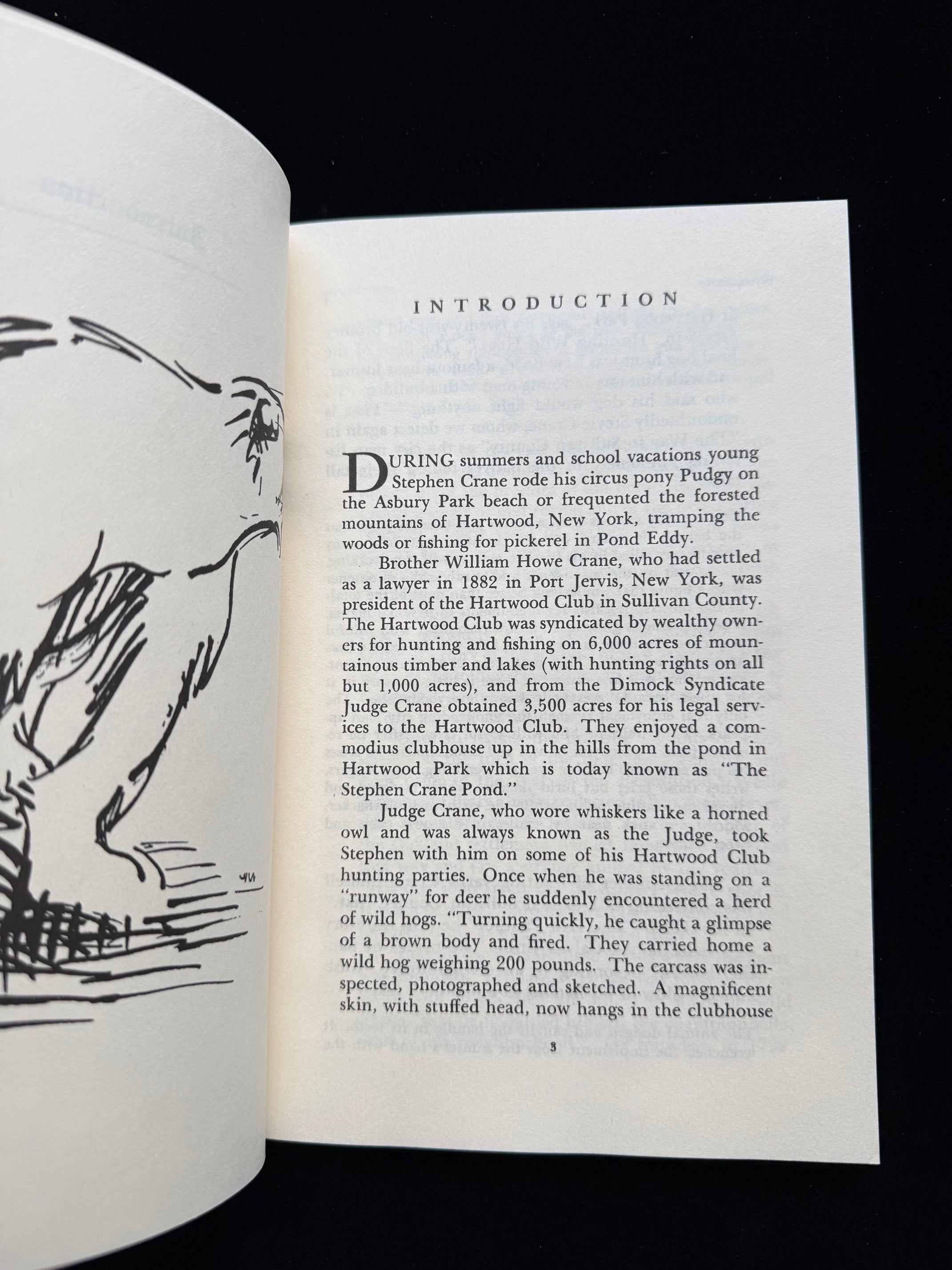 Stephen Crane: Sullivan County Tales and Sketches