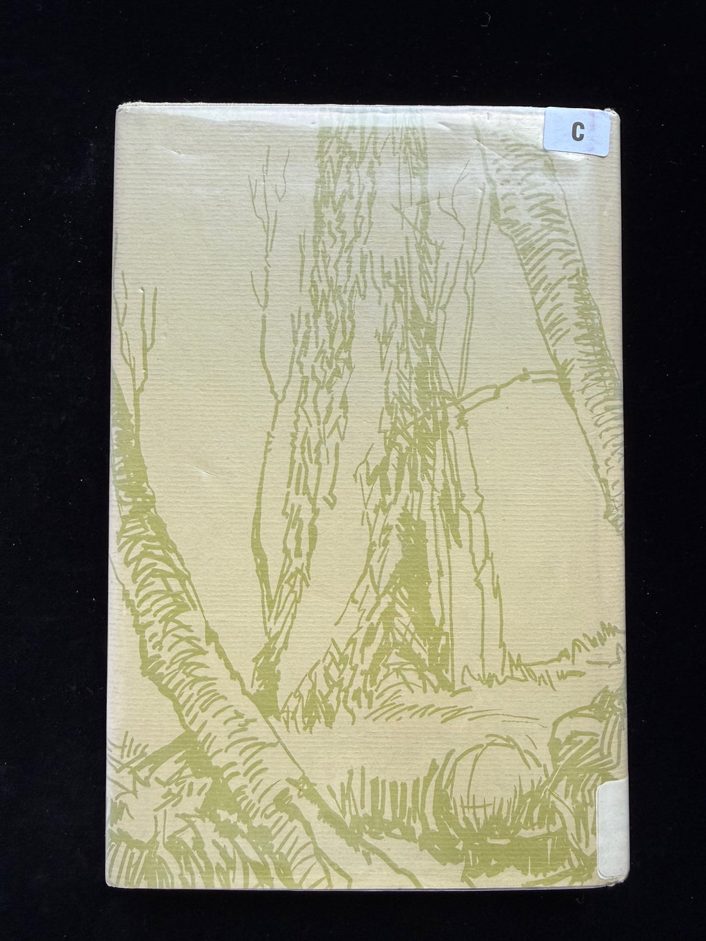 Stephen Crane: Sullivan County Tales and Sketches