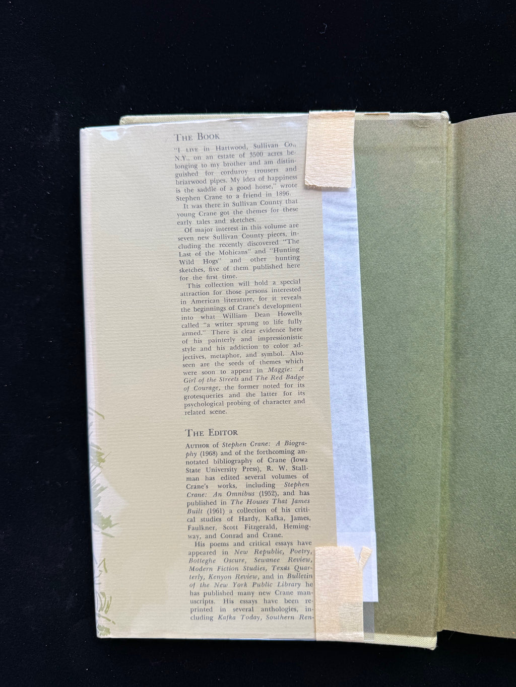 Stephen Crane: Sullivan County Tales and Sketches