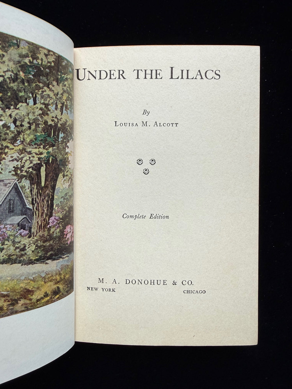 Under the Lilacs