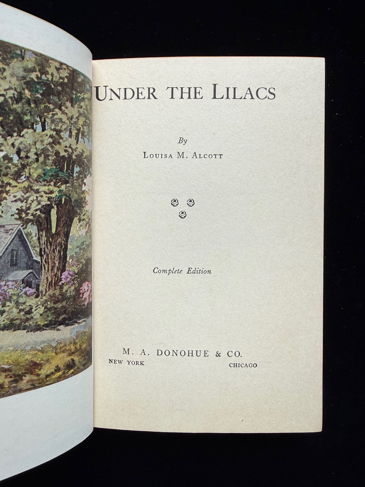 Under the Lilacs