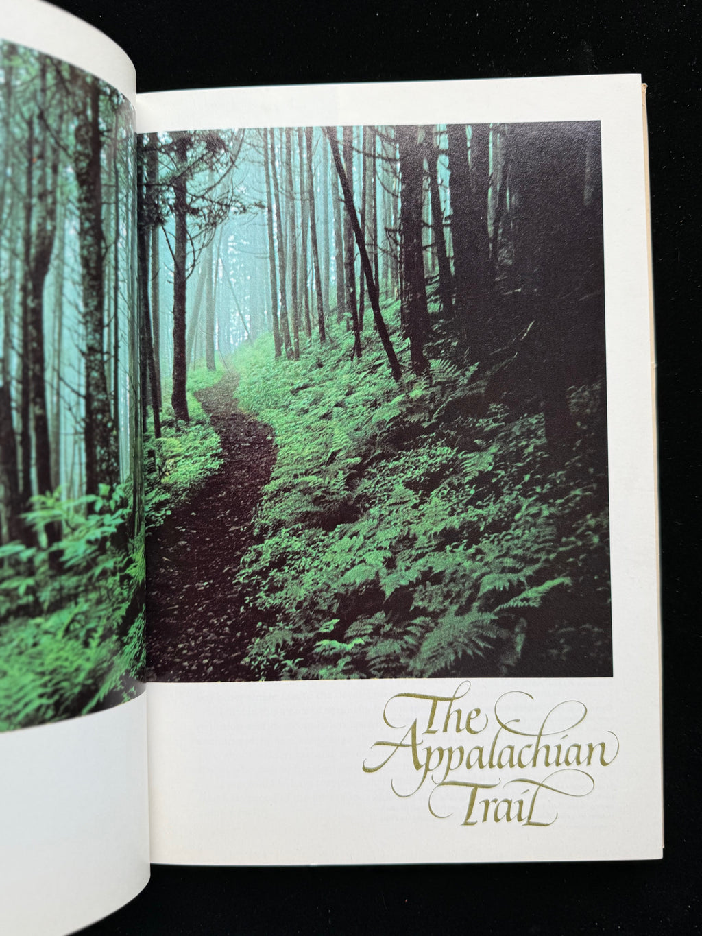 The Appalachian Trail