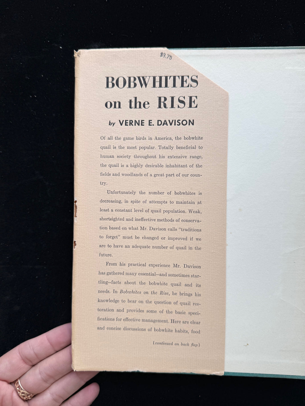 Bobwhites on the Rise