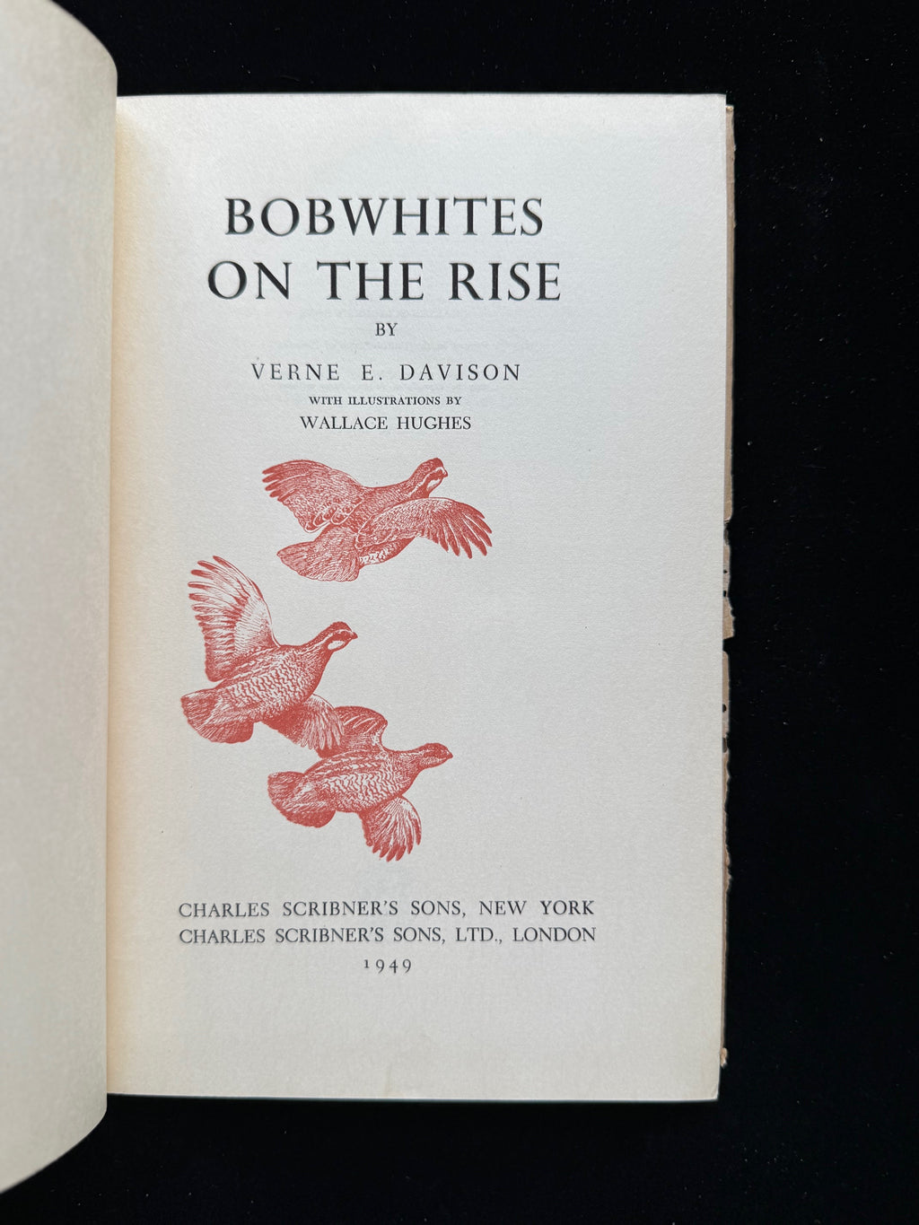 Bobwhites on the Rise
