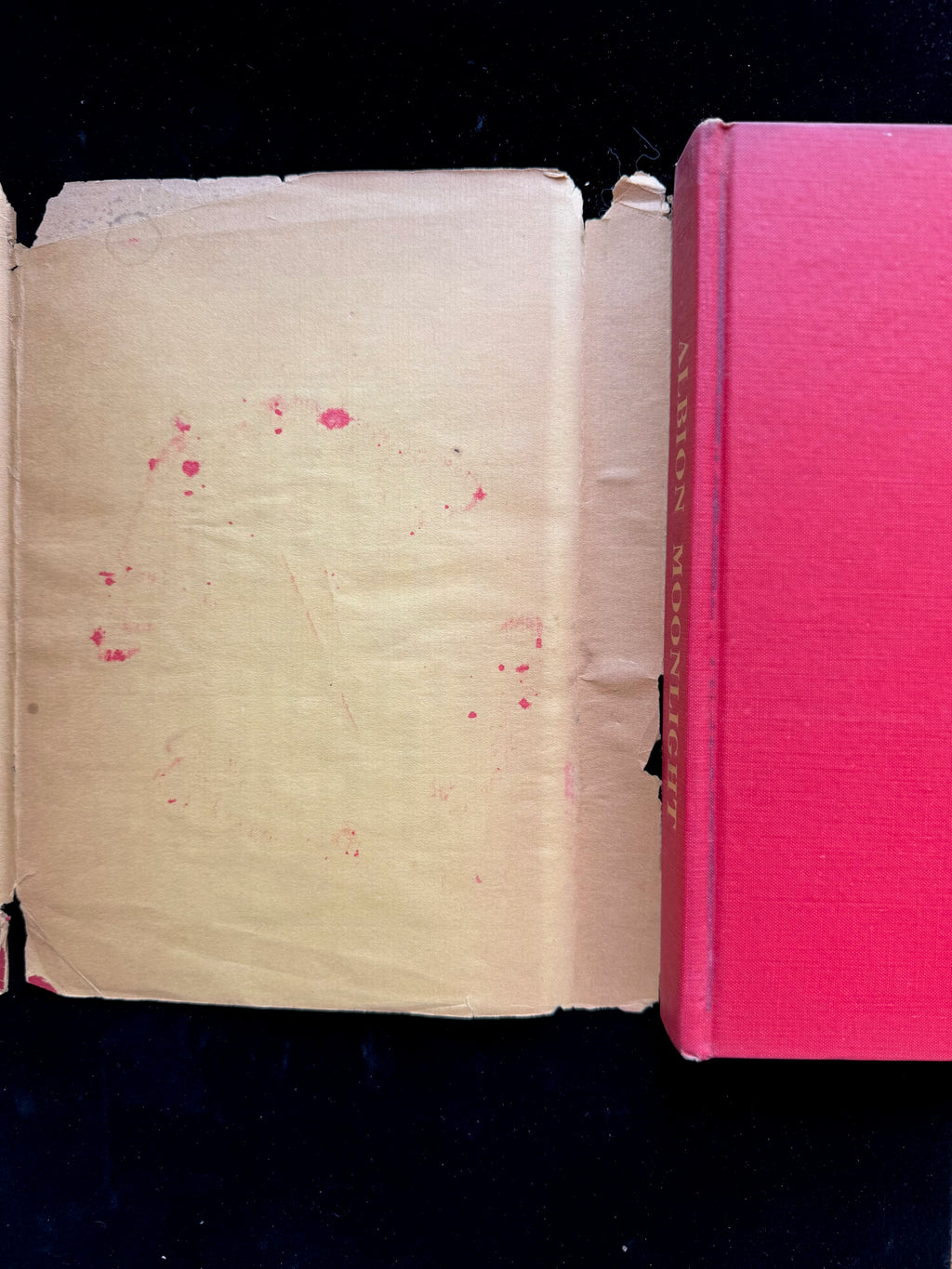 The Journal of Albion Moonlight