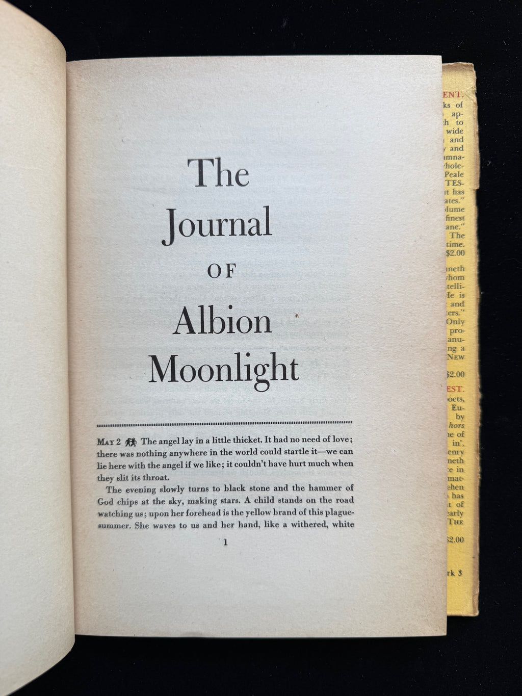 The Journal of Albion Moonlight