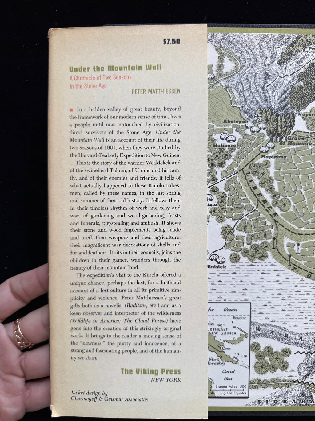 Under the Mountain Wall: A Chronicle of Two Seasons in the Stone Age
