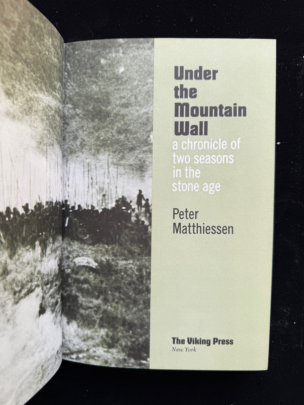 Under the Mountain Wall: A Chronicle of Two Seasons in the Stone Age