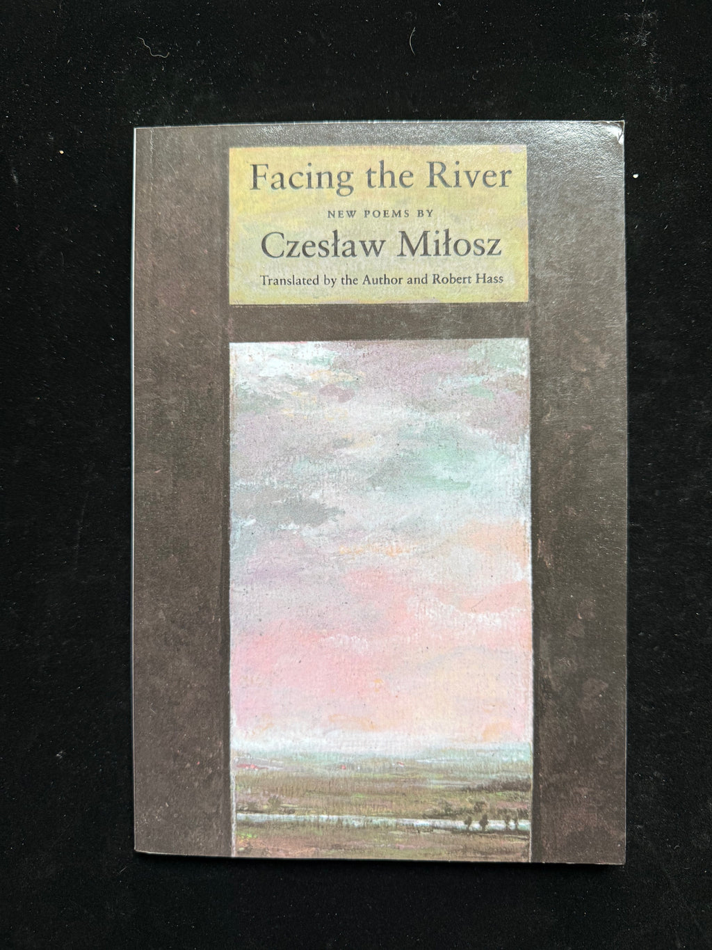 Facing the River: New Poems