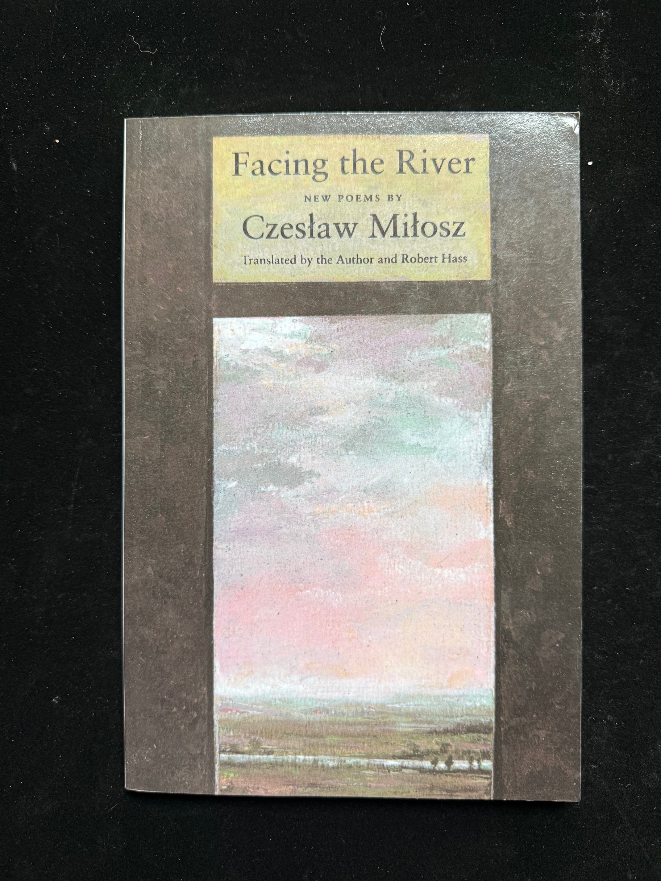 Facing the River: New Poems