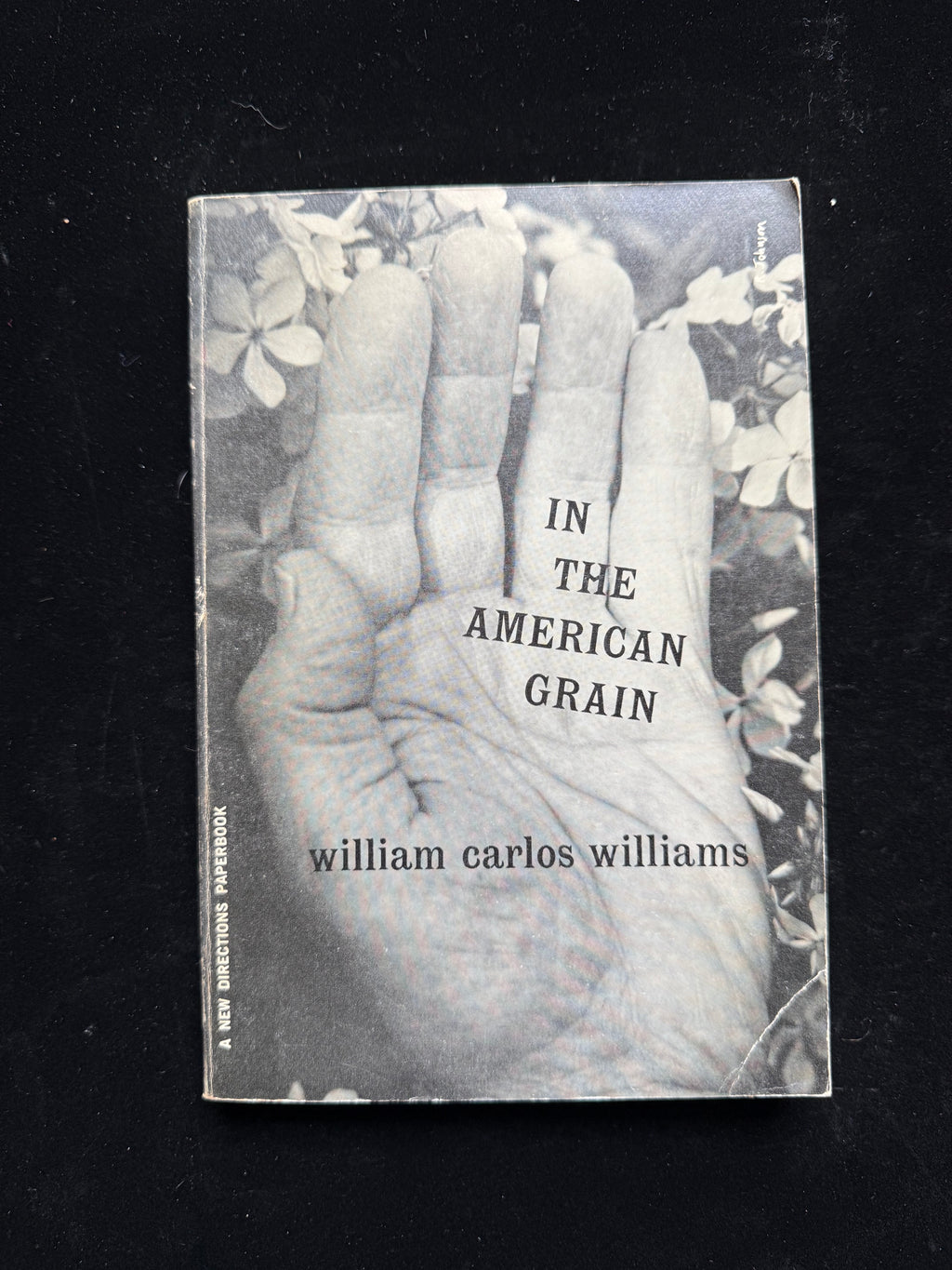 In the American Grain