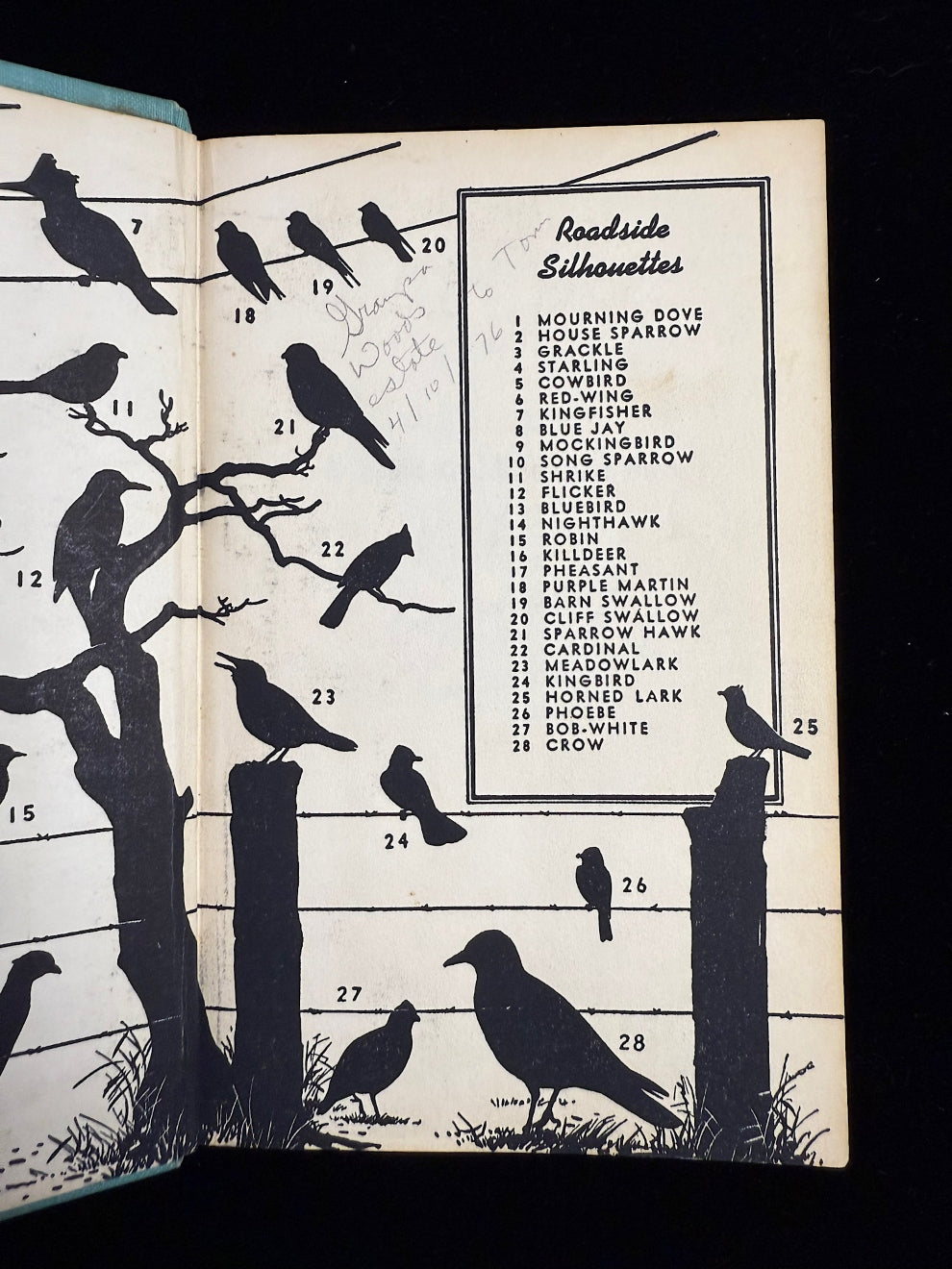 A Field Guide to the Birds