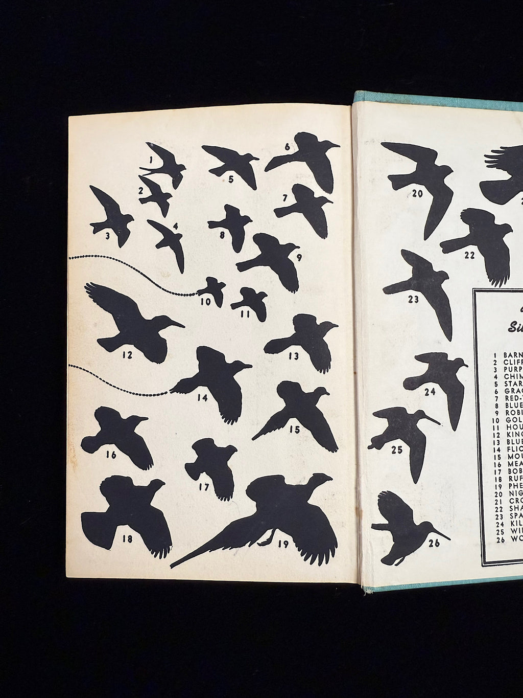 A Field Guide to the Birds
