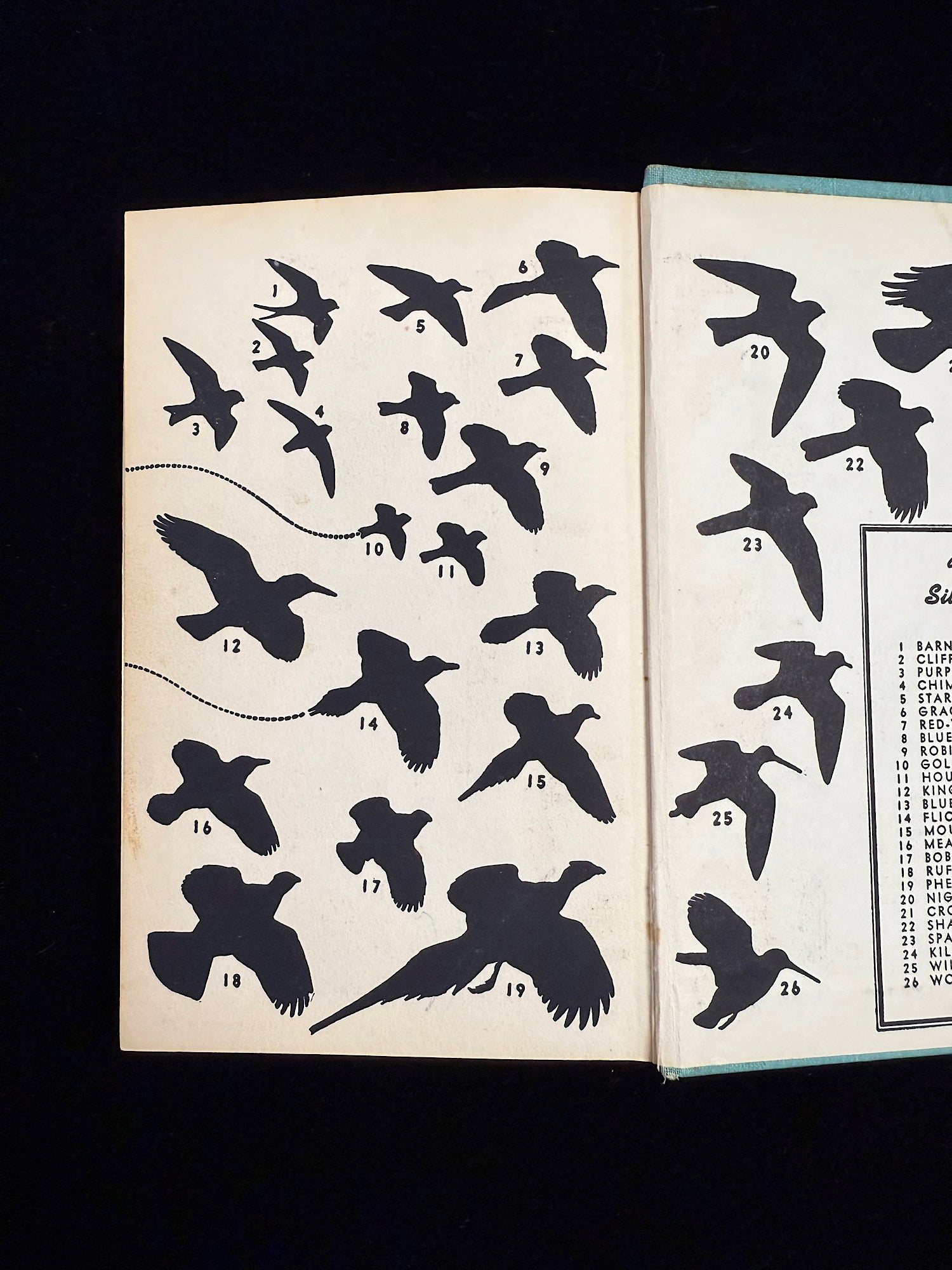 A Field Guide to the Birds