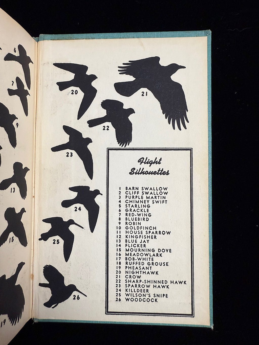 A Field Guide to the Birds