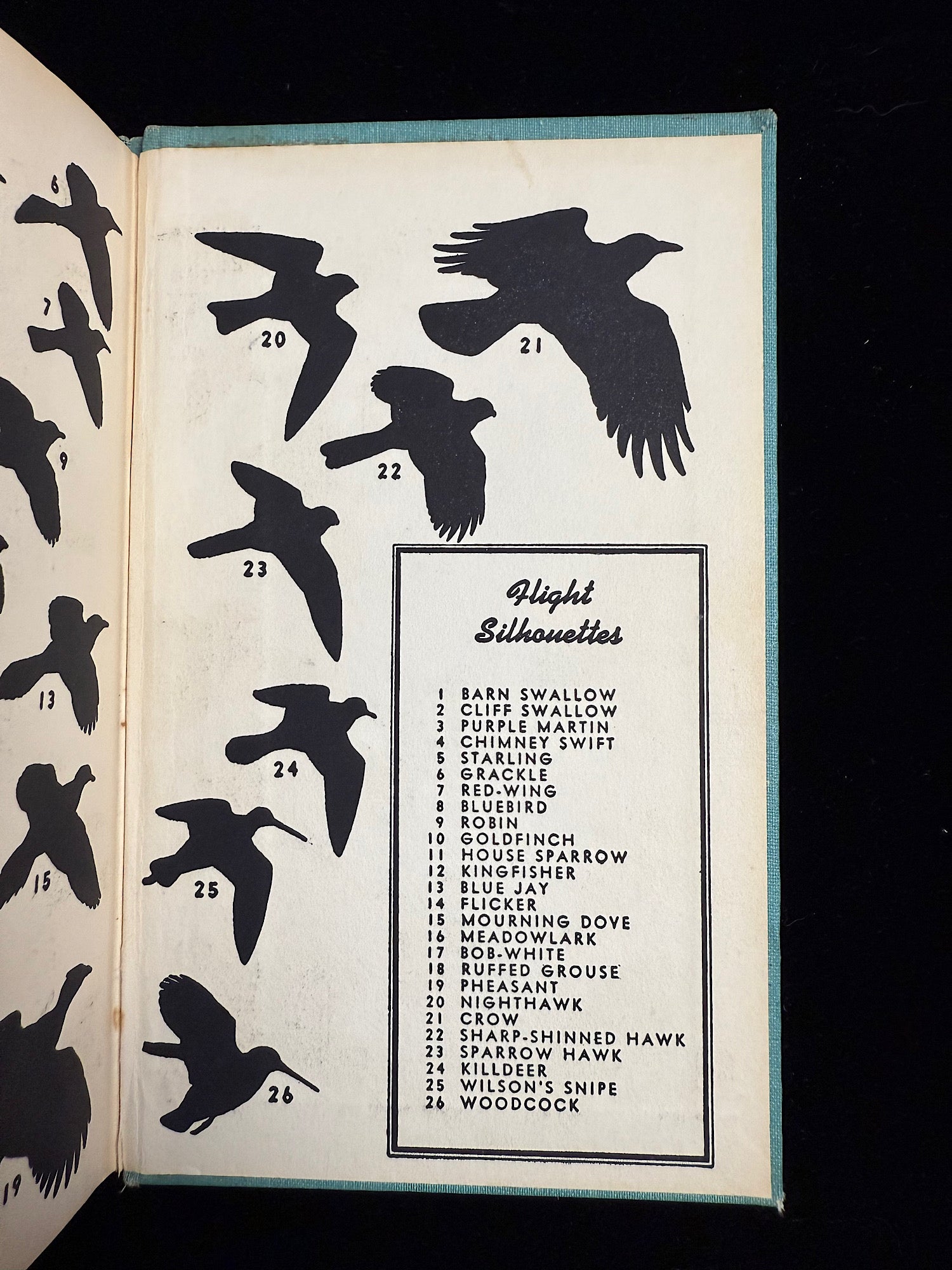 A Field Guide to the Birds